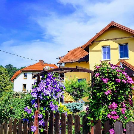 Jaskolka - Pokoje I Apartament Przy Plazy Olsztyn  Buitenkant foto