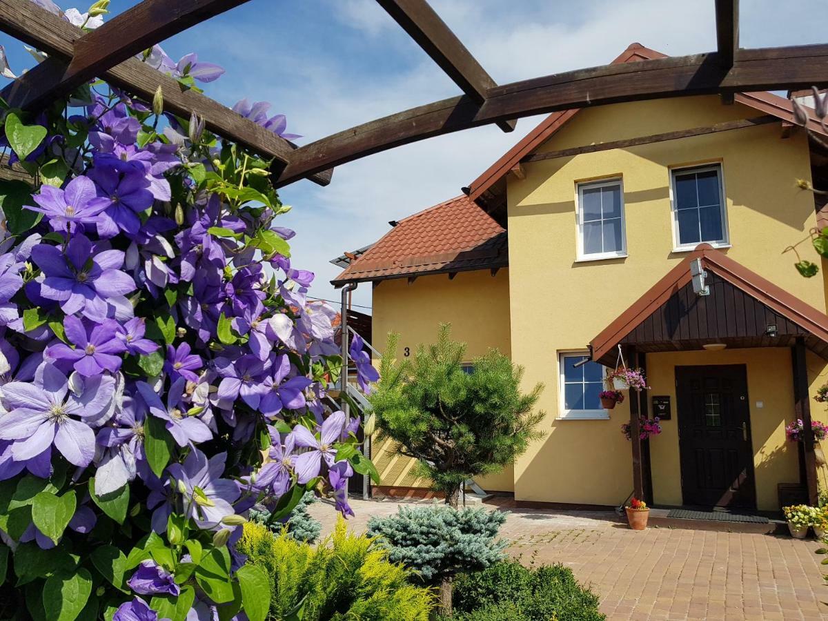 Jaskolka - Pokoje I Apartament Przy Plazy Olsztyn  Buitenkant foto