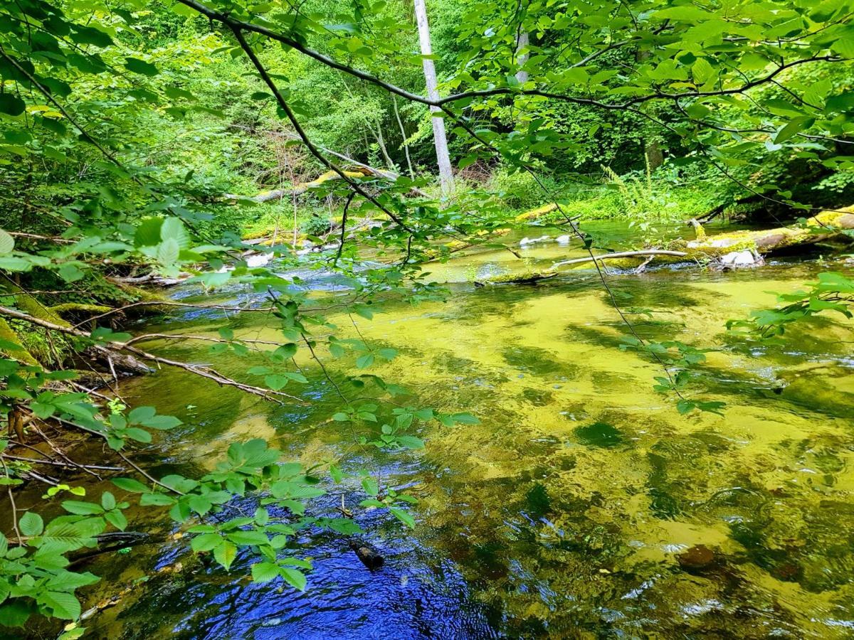 Jaskolka - Pokoje I Apartament Przy Plazy Olsztyn  Buitenkant foto